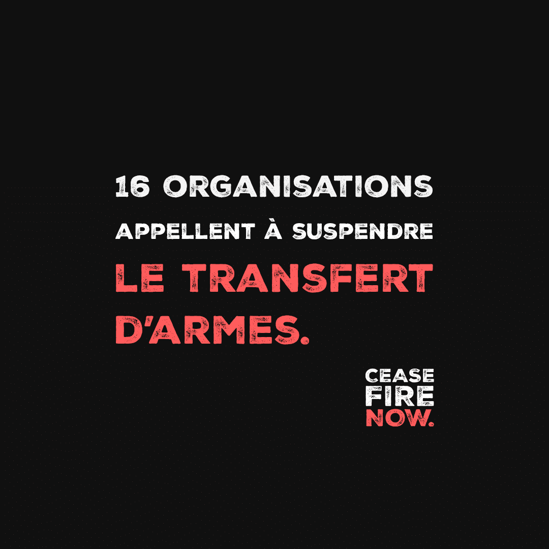 16 organizaciones humanitarias y de defensa de los derechos humanos instan a suspender la transferencia de armas a Israel y a los grupos armados palestinos